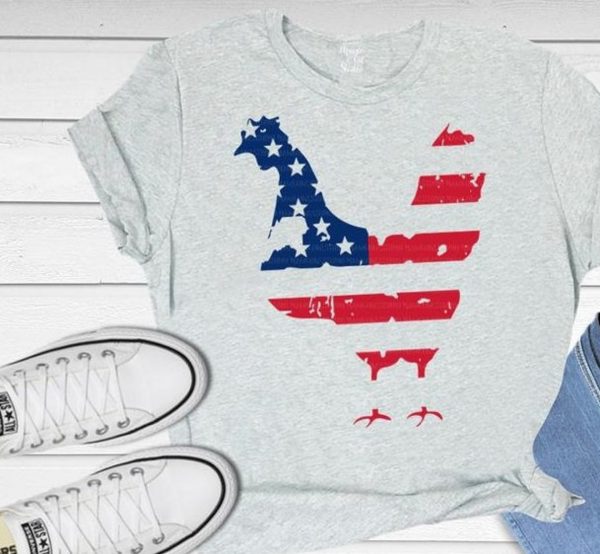 Patriotic Tee's For Ladies And The Whole Family